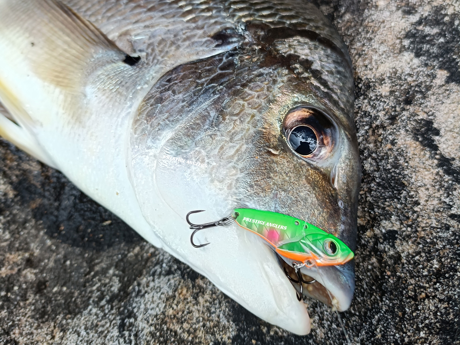 Fishing with Meta Vibe 10g